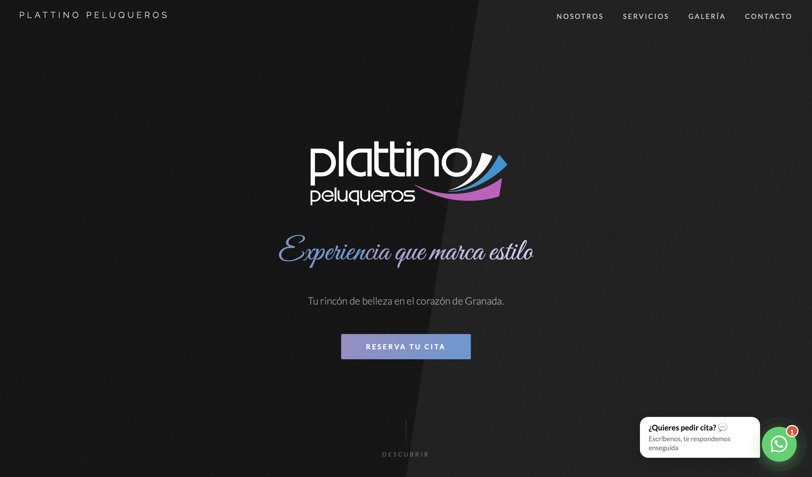 Plattino Peluqueros